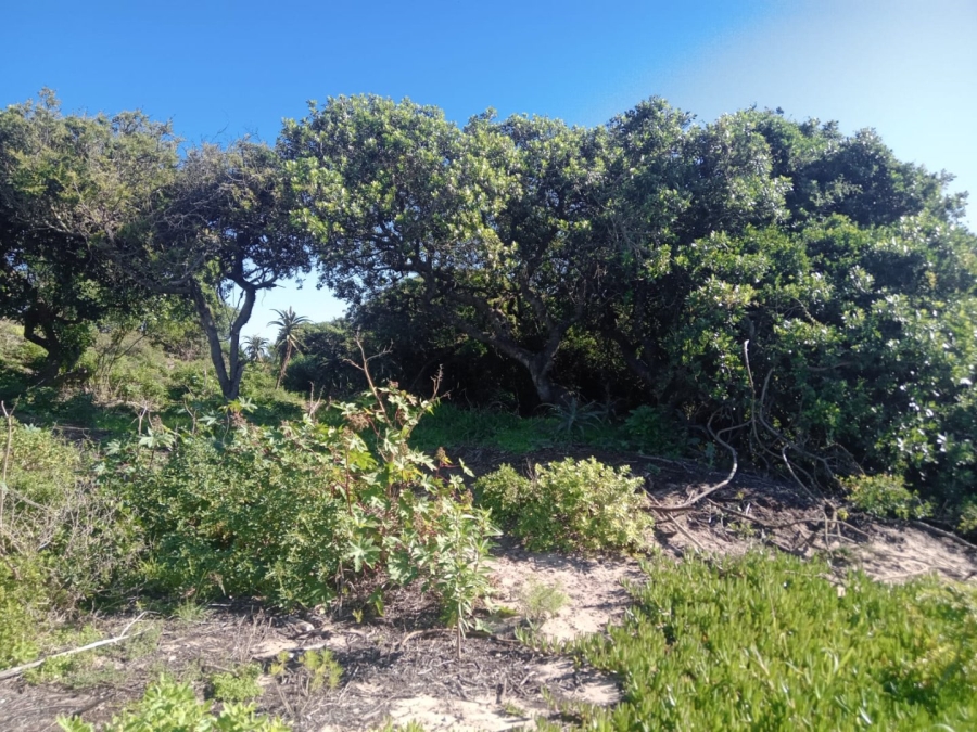 Commercial Property for Sale in Paradise Beach Eastern Cape